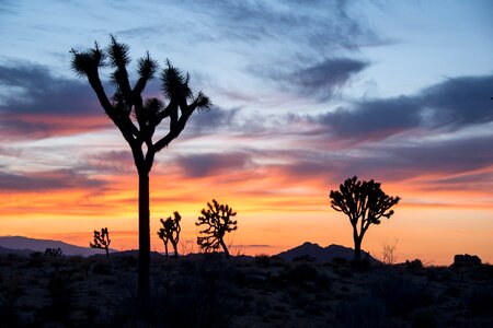 Desert nature sky photo