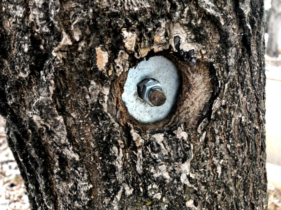 Artificial Tree