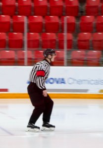 Lori Gillan-02-27-2019 - Ladies Hockey (3 of 51)