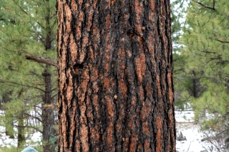 20181206-FS-APACHE-SITGREAVES-LSC-1492