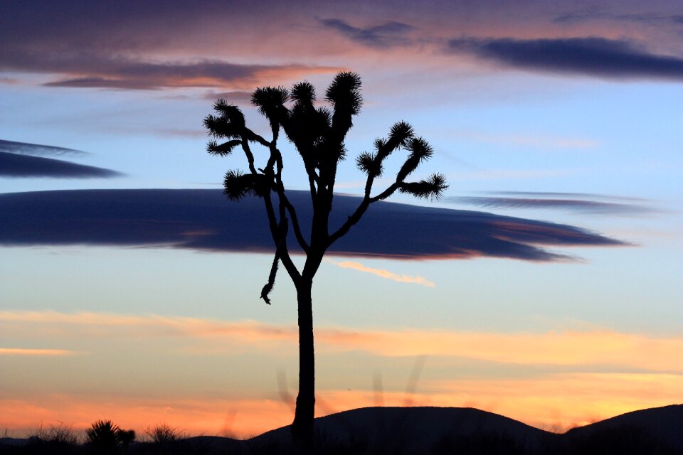 Desert nature sky