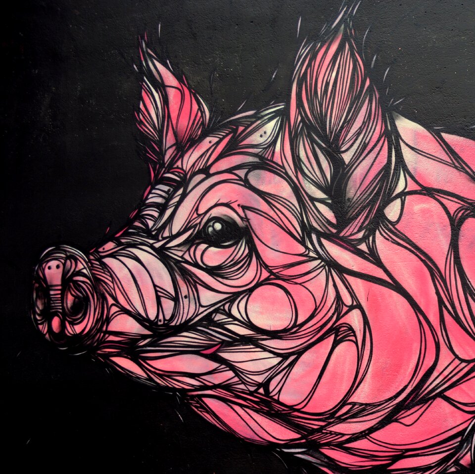 Work of art graffiti drawing