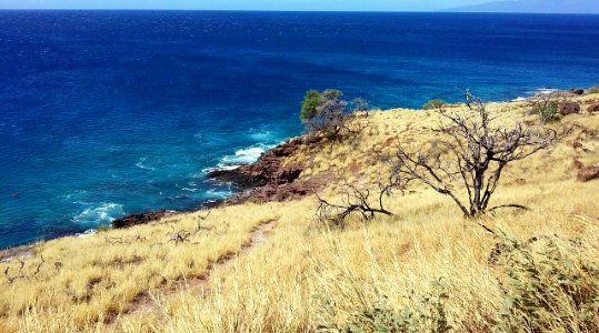 Beach on Maui Island