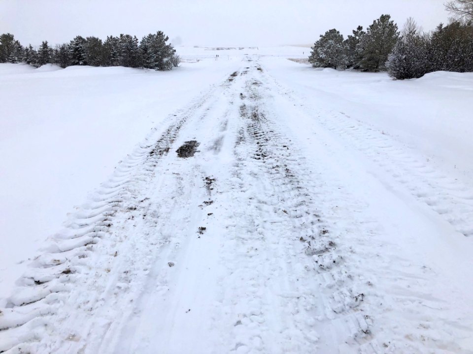 First Time Doing a Tractor Clearing