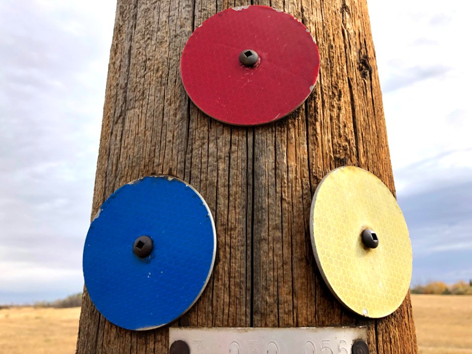 Primary Color Test