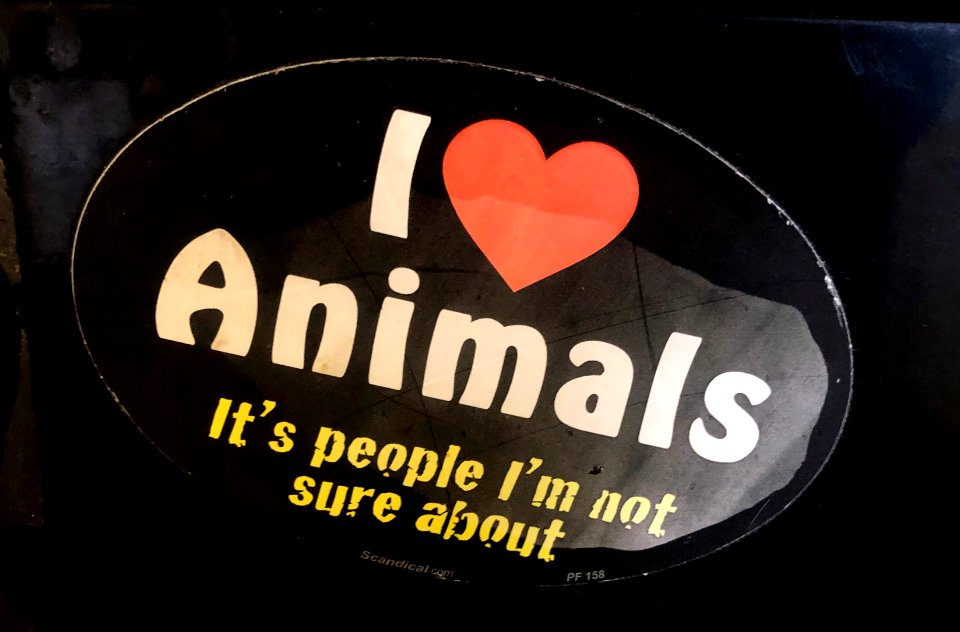 Animal Fan
