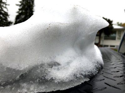Snow Wave Wind Carved