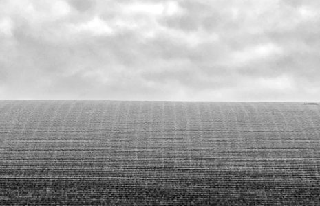 Roof Sky