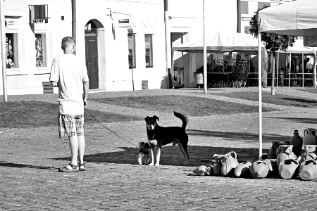 bardejov2