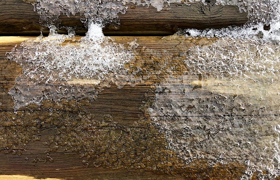 The Ice Age is Coming