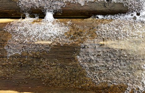 The Ice Age is Coming