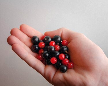 Berries hands food photo