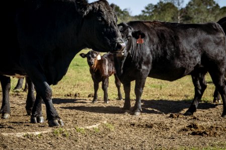 20201117-NRCS-LSC-0498