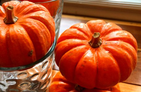 Mini Pumpkins
