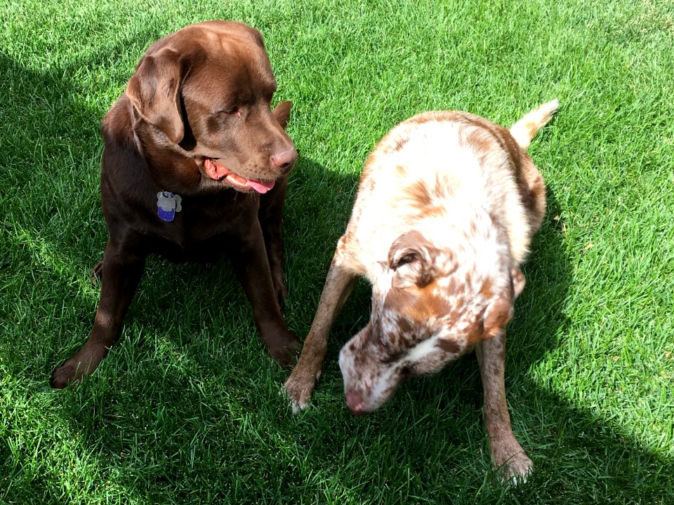 Felix Meets Cousin Chester