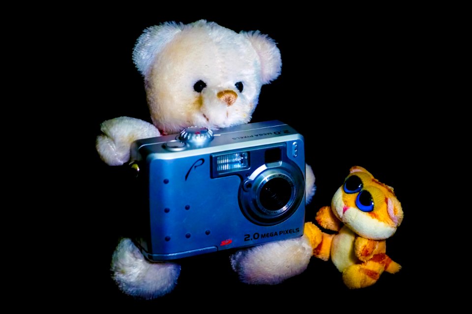 Camera Rover RS2120