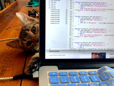 CAN I DO CODE?
