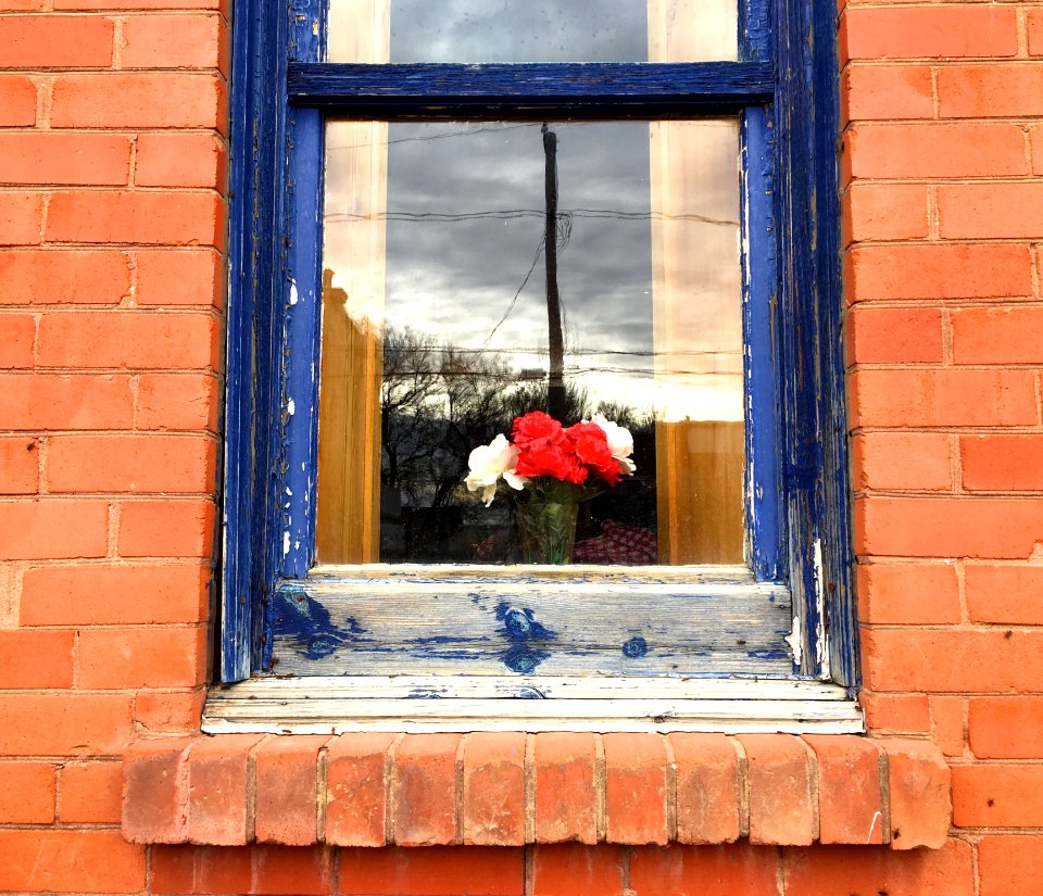 Looking In Looking Out