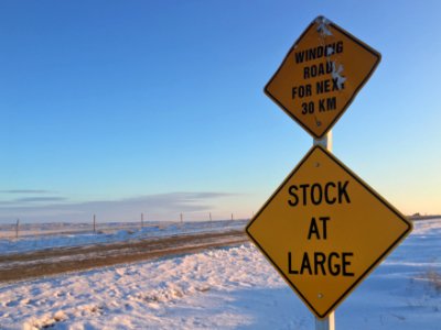Big Stock