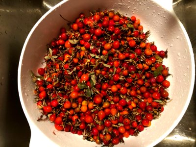 Rose Hips to Jelly 1