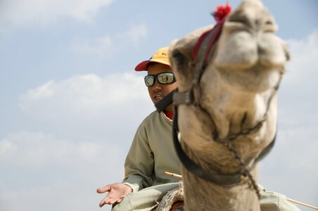 Reiter camel riders animals photo