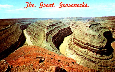 The Great Goosenecks, San Juan, Utah photo