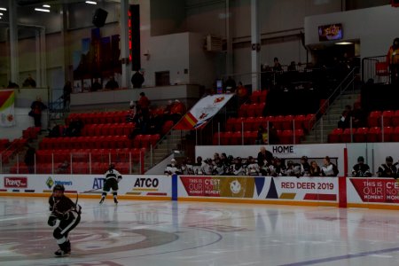 Lori Gillan-02-27-2019 - Ladies Hockey (5 of 51)