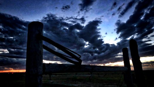 Fenced Under the Sky