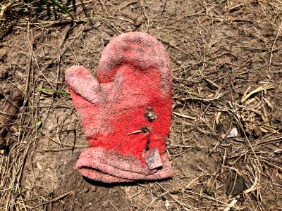 Lost Mitten Needs A Story