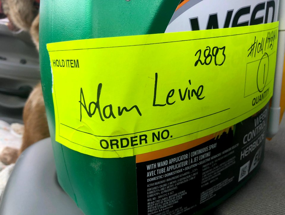 This is How You Spell "Alan Levine"
