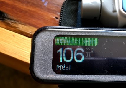 DS106 Blood Glucose