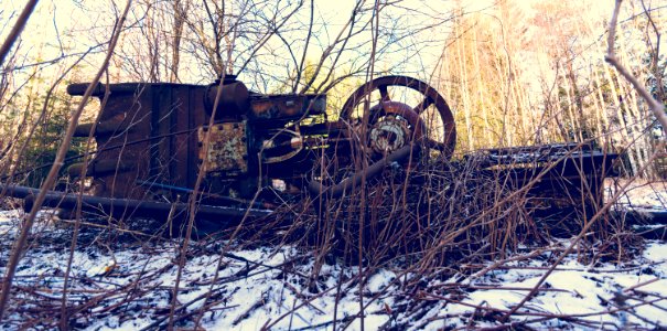 Abandoned excavator