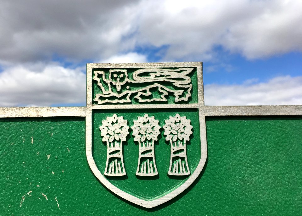 Shield and Skies