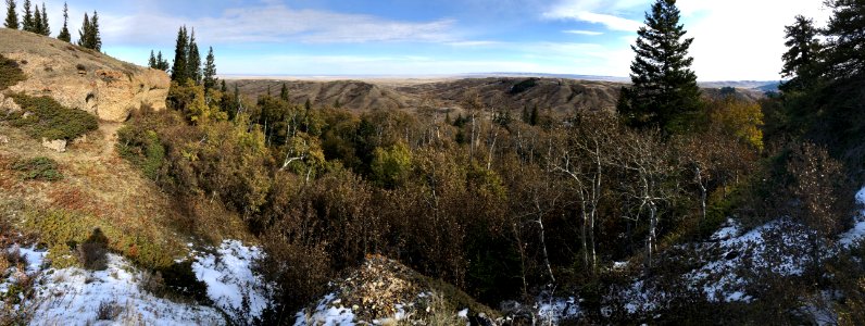 Yup, Prairie
