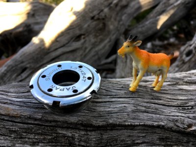 Cog For a Goat photo