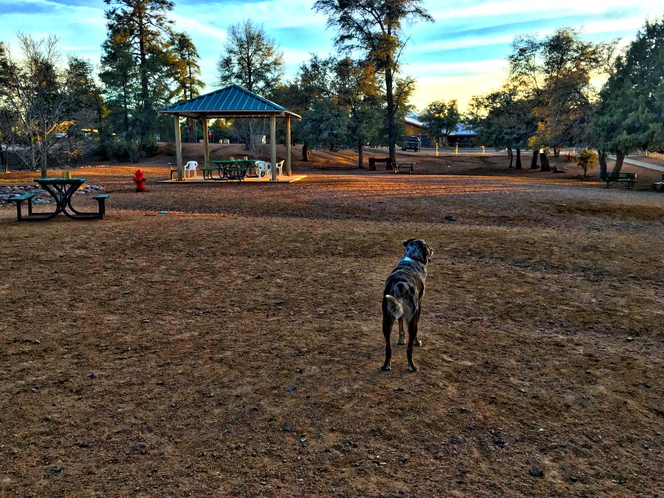 Where is Everyone?