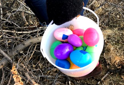 In These Unprecedented  Times... Egg Hunt