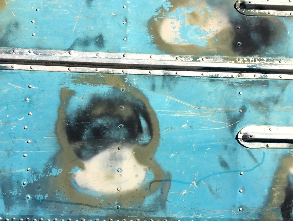 Boat Bottom Creatures