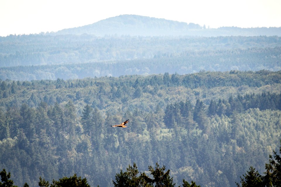 Landleben in Nordhessen