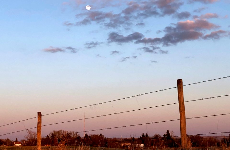 Moon Over Mortlach