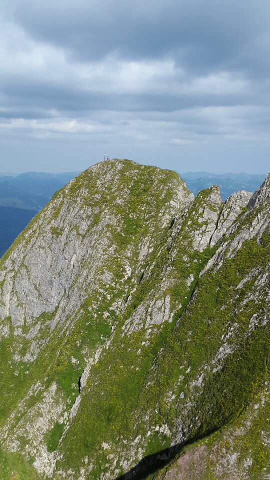 Steep grass allgäu alps alpine