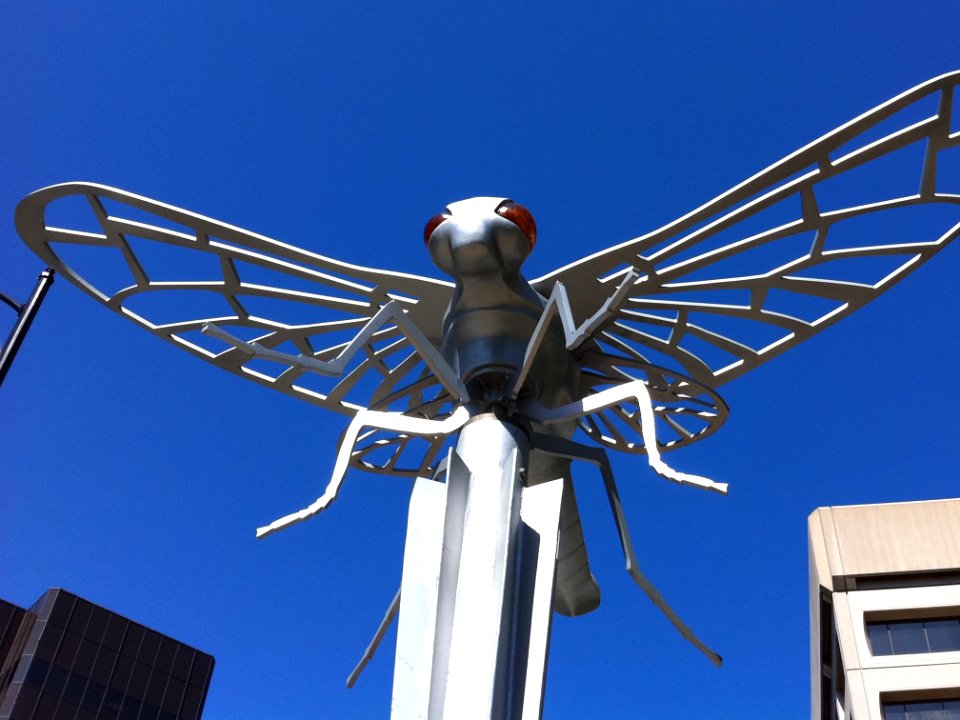 Bug-Eyed on San Jose