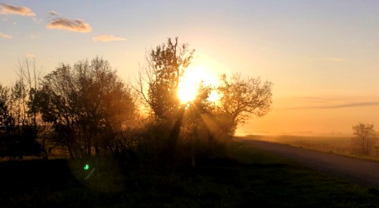 Misty Sunset photo