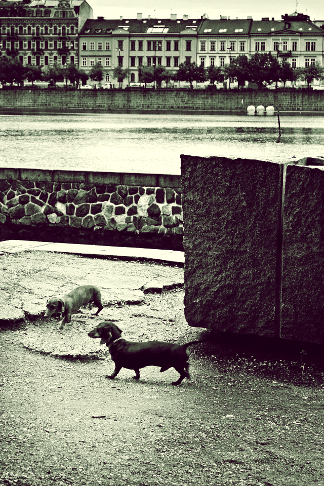 praha-30