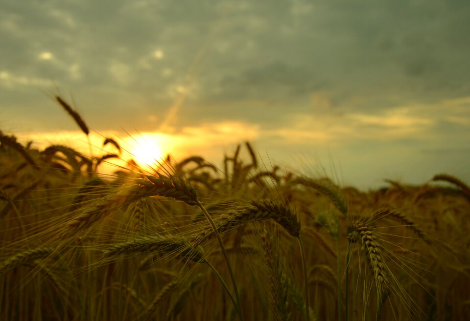 Barley the sun clouds