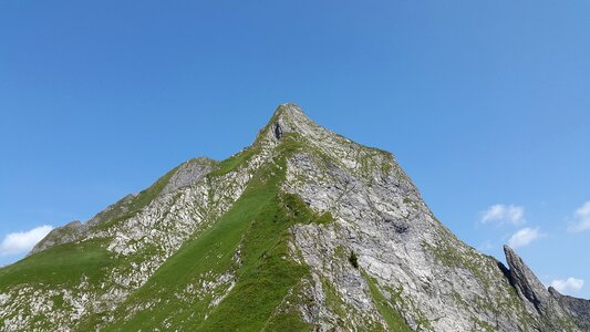 Steep grass allgäu alps alpine