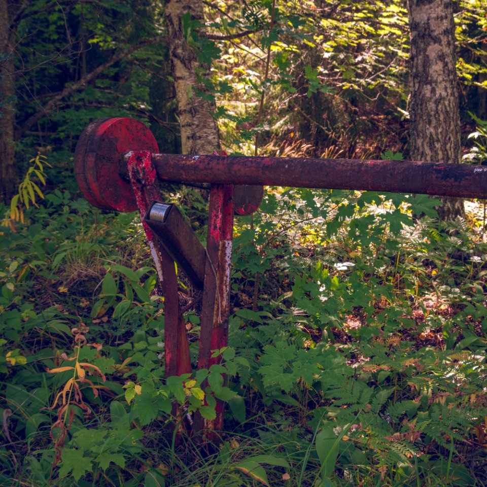 Rusty old gate