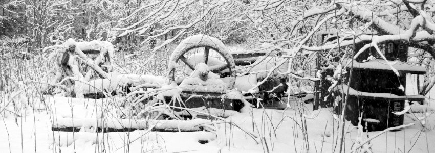 Abandoned excavator photo