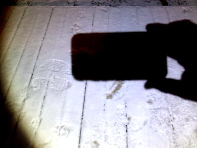 Shadow Puppets