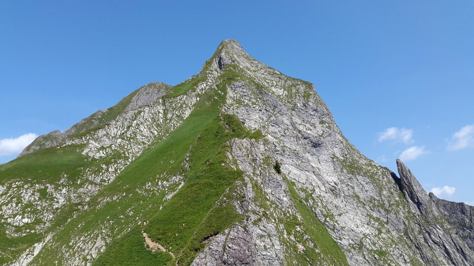 Steep grass allgäu alps alpine